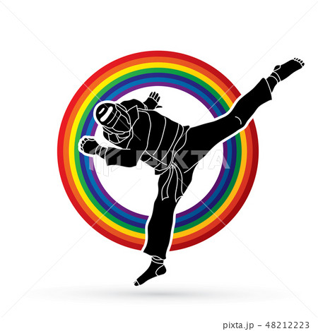 Taekwondo jump kick action with guard equipment Taekwondo jump kick action with guard equipment 48212223