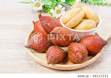 Salak Palm , waive or snake fruit in wooden. Salak Palm , waive or snake fruit in wooden. 48212332