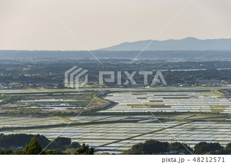 加護坊山山頂から見る田植え時期の大崎耕土と登米耕土 48212571