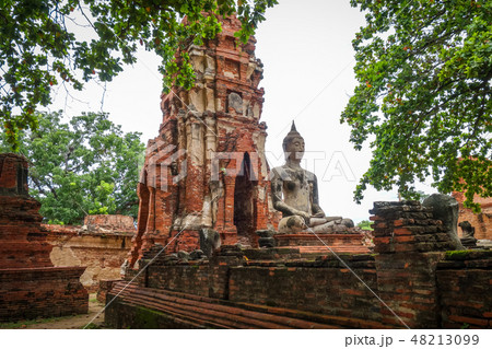 Buddha statue in Wat Mahathat, Ayutthaya, Thailand 48213099