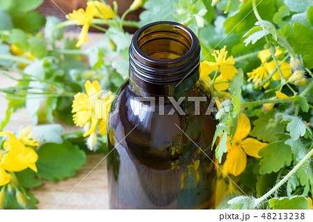 Greater celandine tincture with fresh Chelidonium 48213238