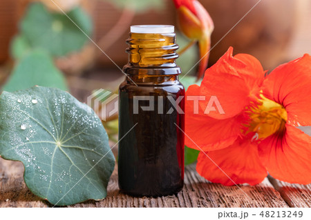 Nasturtium tincture with fresh Tropaeolum majus 48213249