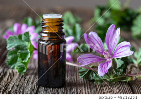 A bottle of common mallow essential oil A bottle of common mallow essential oil 48213251