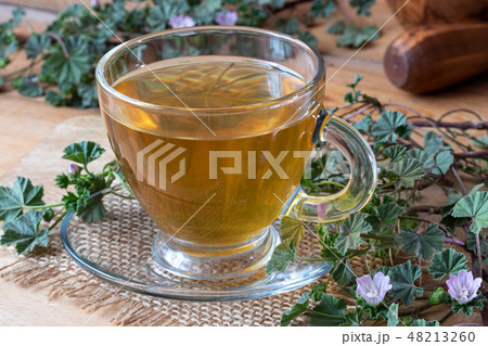 Cup of dwarf mallow tea with fresh blooming plant 48213260