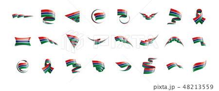 Gambia flag, vector illustration on a white background 48213559