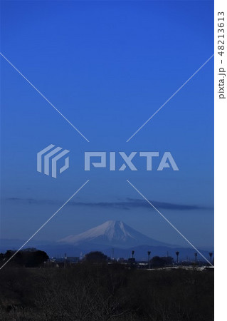 関宿にこにこ水辺公園から見る富士山(初日の出) 関宿にこにこ水辺公園から見る富士山(初日の出) 48213613