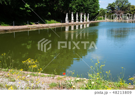 ハドリアヌスの別荘（ヴィッラ・アドリアーナ）　カノプスの池のほとりの花【ティヴォリ、イタリア】 48213809