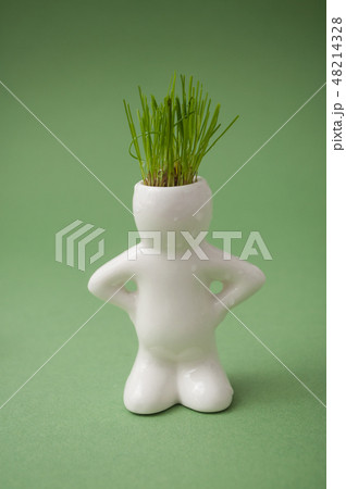 white pot in shaped man with grass in his head  48214328