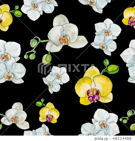 Watercolor pattern with flowers and Orchid buds. 48214466