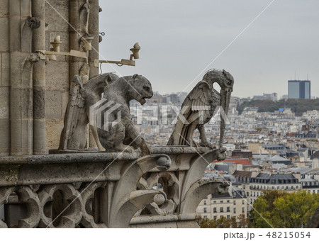 Chimera (Gargoyle) of Notre Dame de Paris Chimera (Gargoyle) of Notre Dame de Paris 48215054