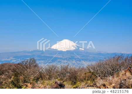 金時山から望む富士山 金時山から望む富士山 48215176