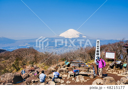 金時山から望む富士山 金時山から望む富士山 48215177