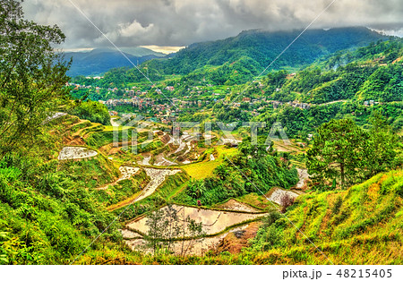 Banaue Rice Terraces - northern Luzon, UNESCO world heritage in Philippines. 48215405