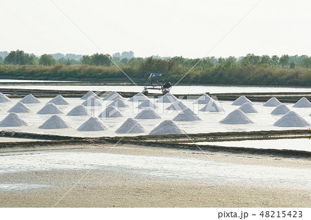 タイ王国中部に見られる塩田の風景（Salt Farm in Thailand） 48215423