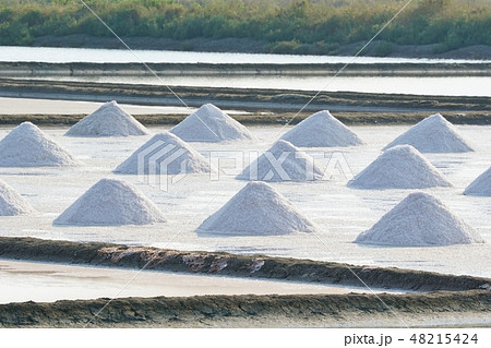 タイの塩、海塩、塩田(Sea Salt, Salt Farm in Thailand) タイの塩、海塩、塩田(Sea Salt, Salt Farm in Thailand) 48215424