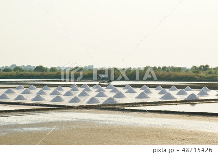 Salt Farm in Samut Sakhon province, Thailand 48215426