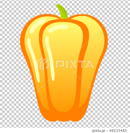 黃色辣椒粉 48215485