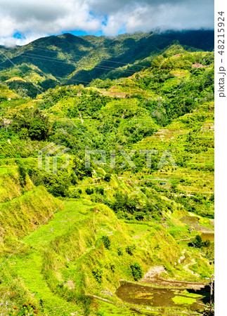 Banaue Rice Terraces - northern Luzon, UNESCO world heritage in Philippines. 48215924