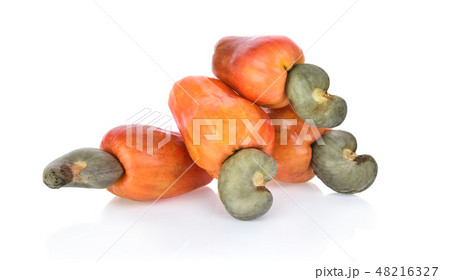 Red cashew fruit isolated on white background 48216327