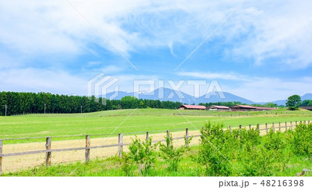 のどかな牧場の風景 48216398
