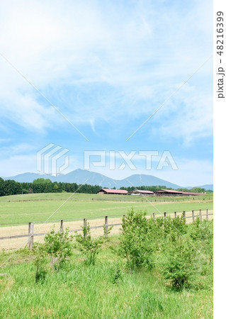 のどかな牧場の風景 のどかな牧場の風景 48216399