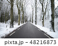 Empty road in winter 48216873