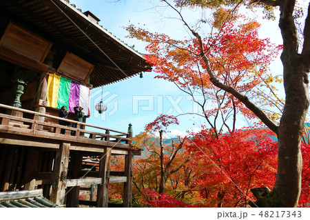 奈良県 長谷寺 奈良県 長谷寺 48217343