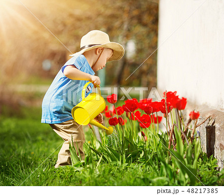 Little child walking near tulips on the flower bed in beautiful spring day Little child walking near tulips on the flower bed in beautiful spring day 48217385