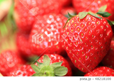 いちご イメージ 48218100
