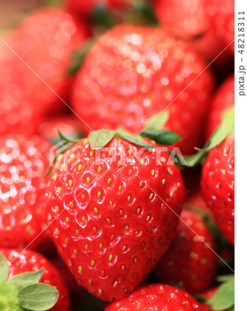 いちご イメージ 48218311