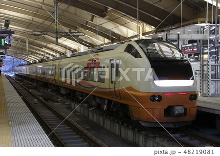 特急いなほ号(E653系) 特急いなほ号(E653系) 48219081