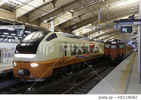 特急いなほ号(E653系) 特急いなほ号(E653系) 48219082