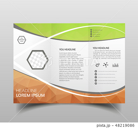 Vector modern tri-fold brochure 48219086