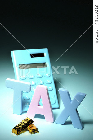 税金 税金 48219213