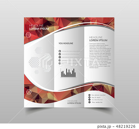 Vector collection of tri-fold brochure 48219226