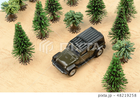 自動車イメージ 48219258