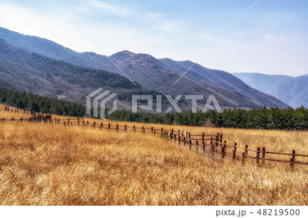 ganwoljae trails with reeds 48219500