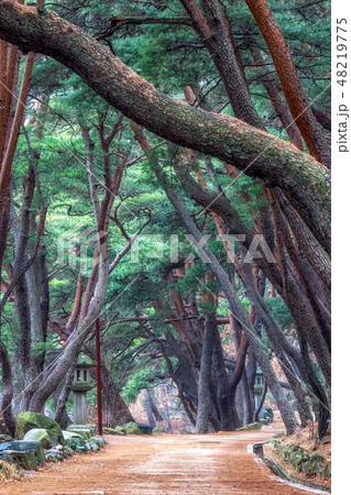 Mupunghansong-gil at Tongdo Temple 48219775