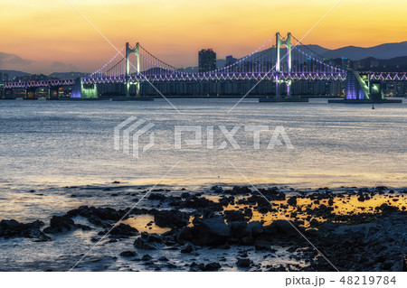 Busan Gwangandaegyo Bridge Busan Gwangandaegyo Bridge 48219784