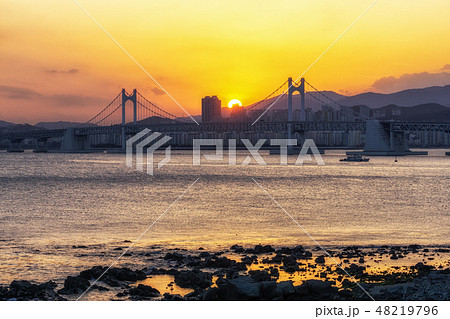 Busan Gwangandaegyo Bridge 48219796