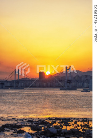 Busan Gwangandaegyo Bridge Busan Gwangandaegyo Bridge 48219801