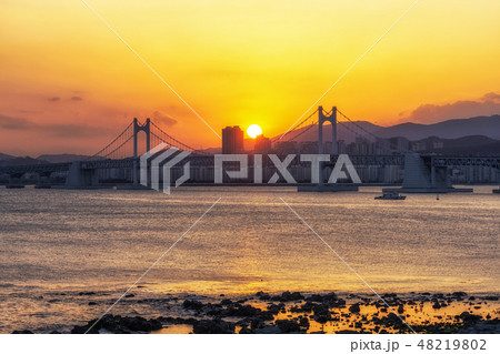 Busan Gwangandaegyo Bridge 48219802