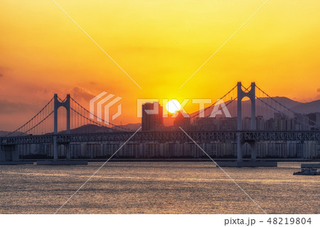 Busan Gwangandaegyo Bridge 48219804