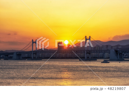 Busan Gwangandaegyo Bridge 48219807