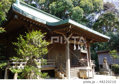 富塚八幡宮 富塚八幡宮 48220210