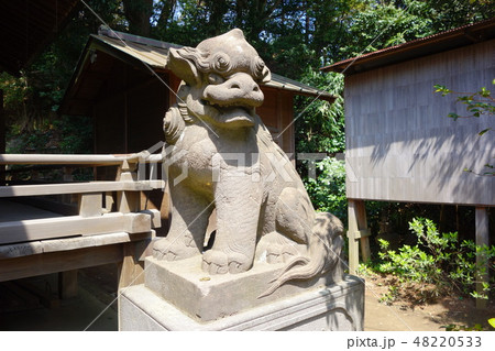 富塚　狛犬 48220533