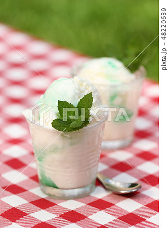 Fresh vanilla ice cream with mint outdoor Fresh vanilla ice cream with mint outdoor 48220639