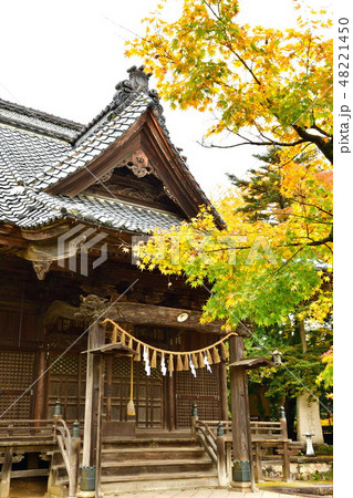 日枝神社の紅葉（新潟県） 48221450