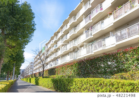 埼玉県せんげん台の賃貸マンション 48221498