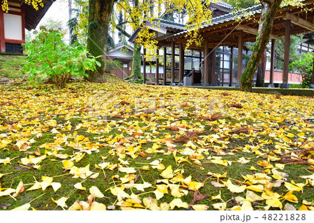 秋の大栄寺（新潟県） 48221828